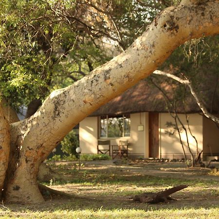 Island Safari Lodge Maun Exteriör bild