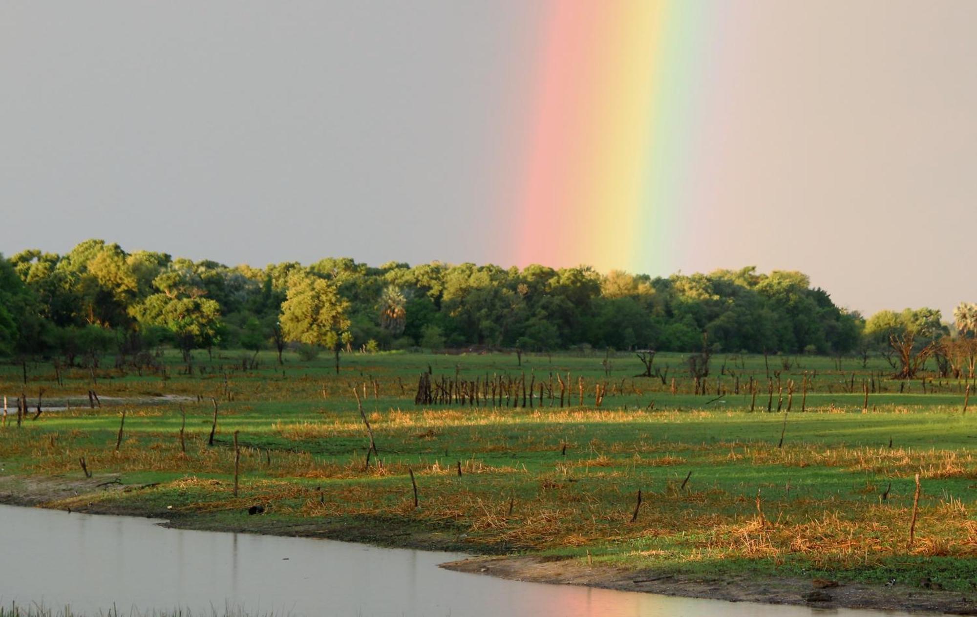 Island Safari Lodge Maun Exteriör bild