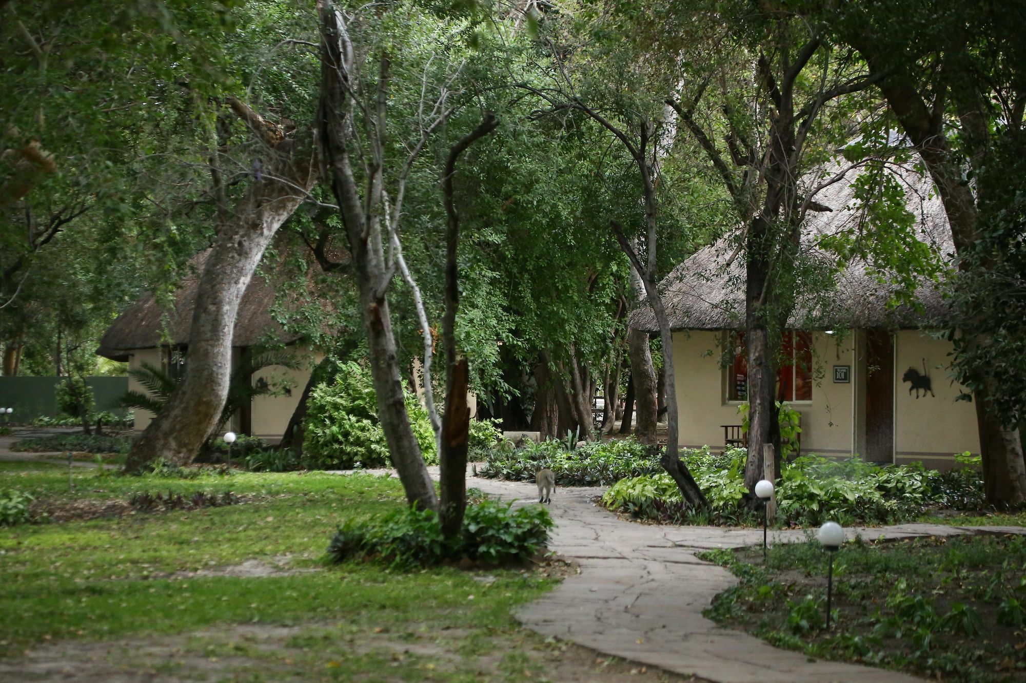 Island Safari Lodge Maun Exteriör bild
