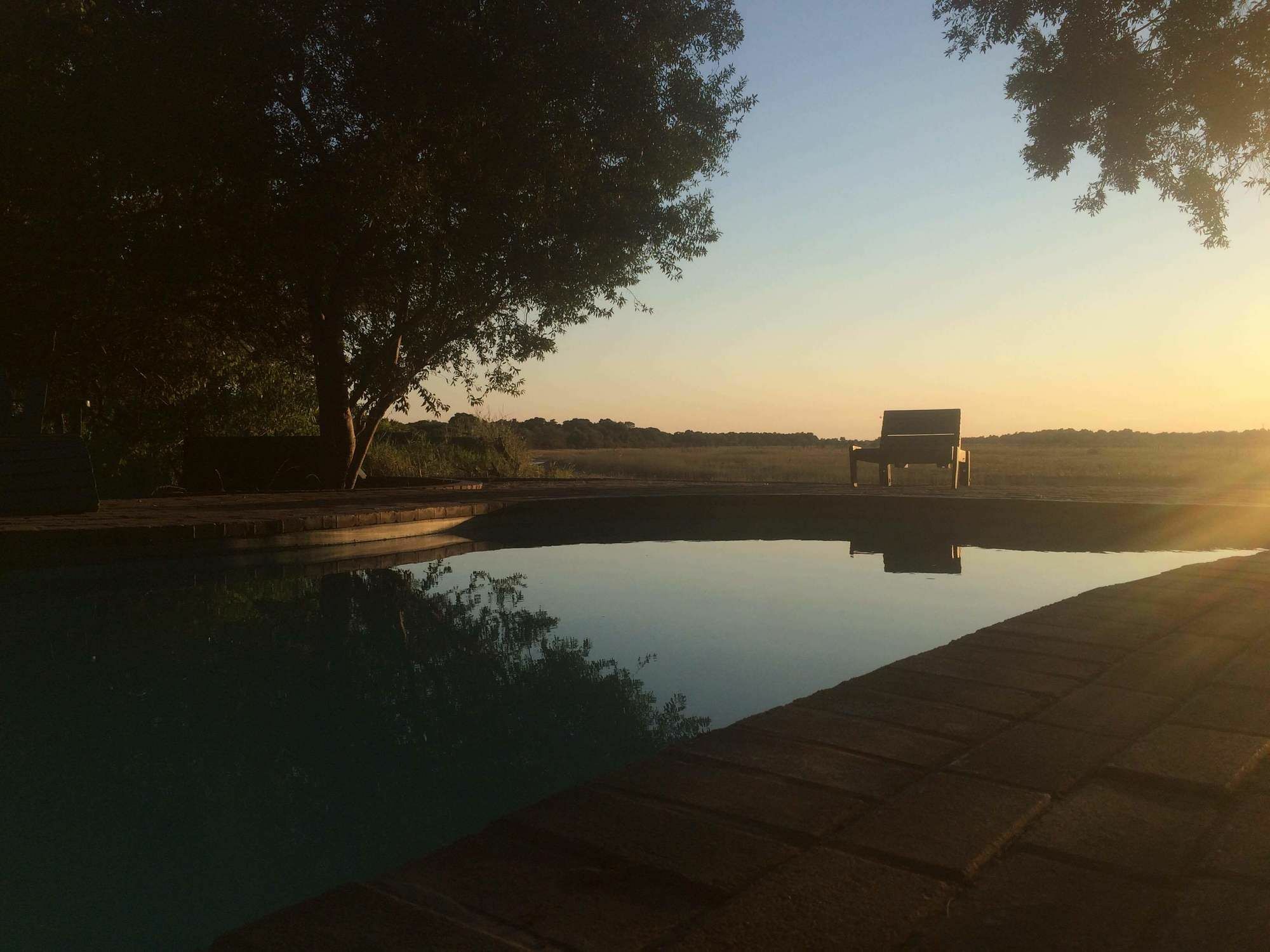 Island Safari Lodge Maun Exteriör bild