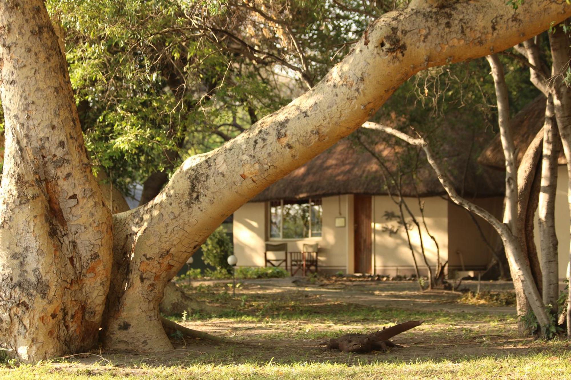 Island Safari Lodge Maun Exteriör bild